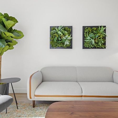 Whyhotel By Placemakr, サンノゼ エクステリア 写真
